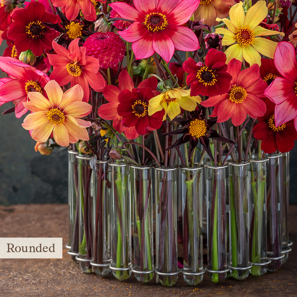 Sarah Raven 30-Second Centrepiece Vase Blumenvase S-Form 24 Röhren