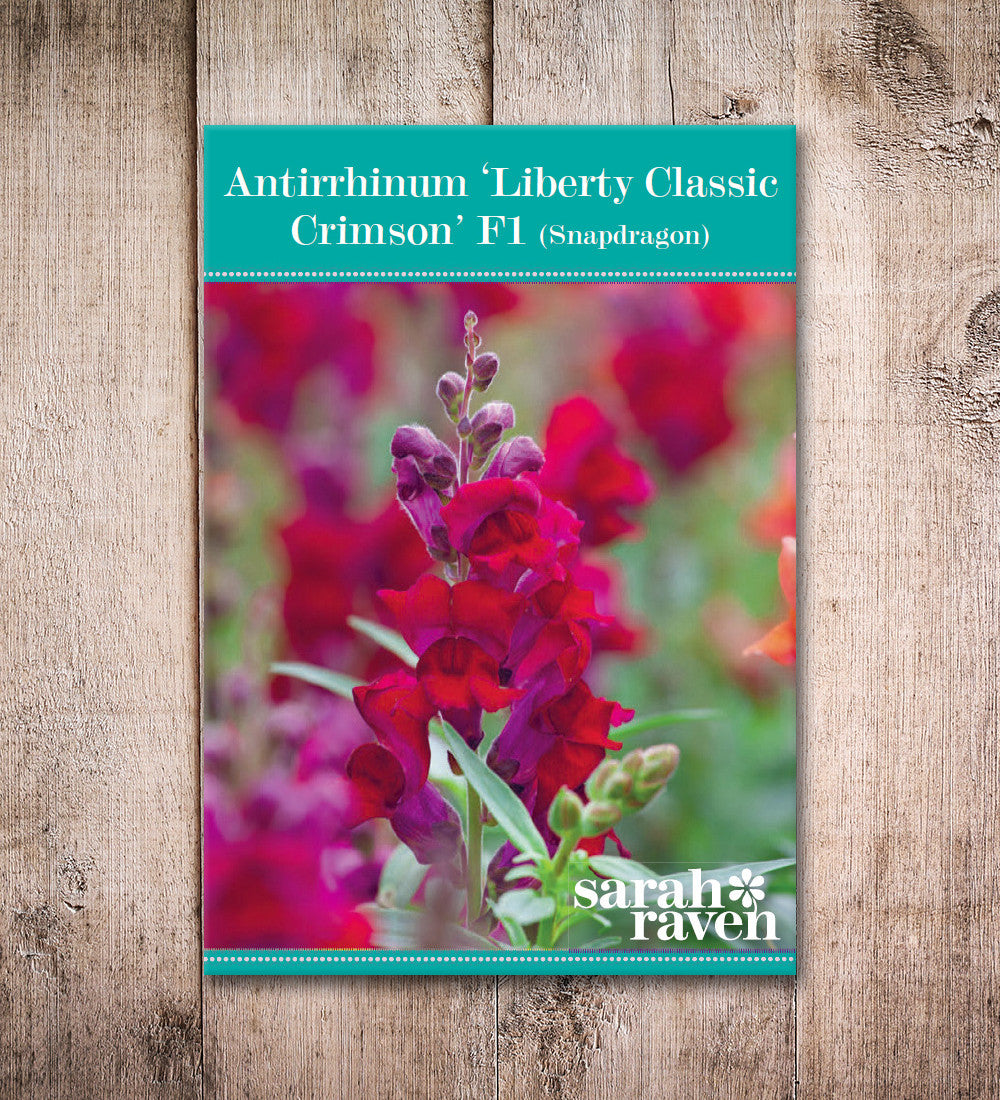 Sarah Raven Löwenmäulchen Liberty Classic Crimson Samen 30 Korn rot