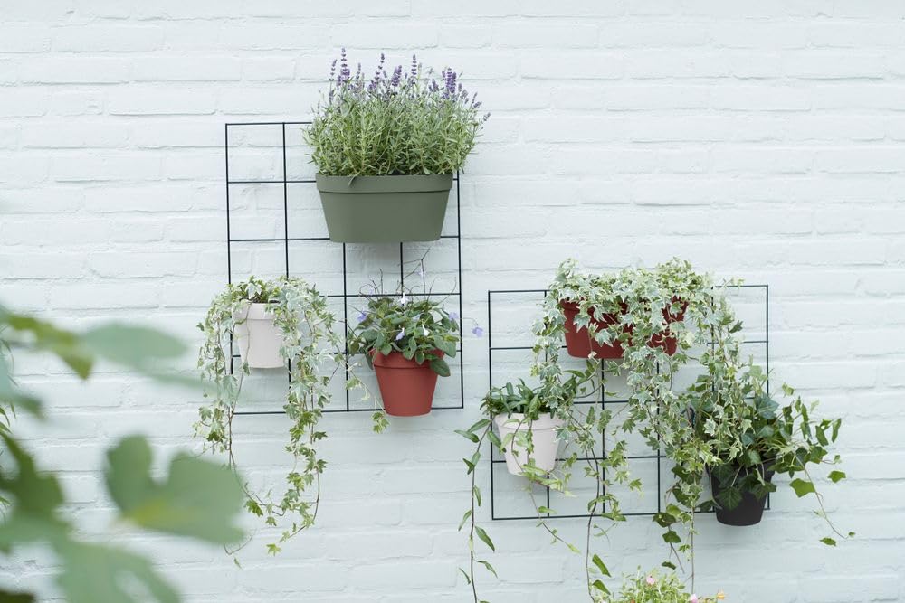 elho Loft Urban Green Wall Duo Balkonkasten Pistazien Grün