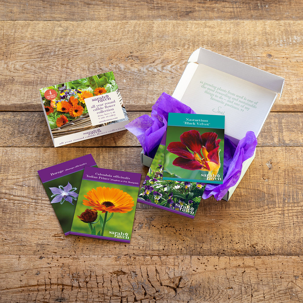 Sarah Raven Seeds Essbare Blüten Samen 4 Packungen Geschenkbox