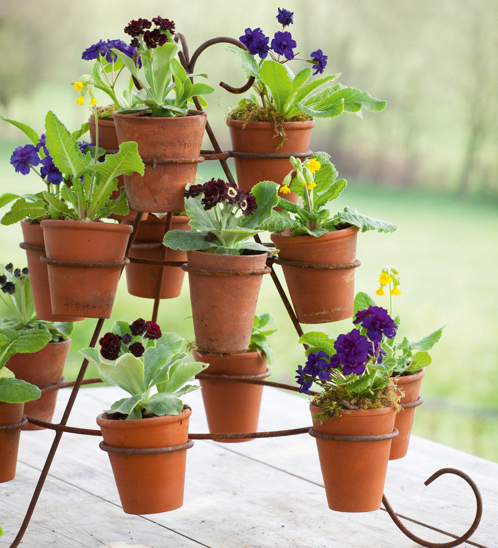 Sarah Raven Terracotta Pots Pflanztopf 15er-Set 11 cm
