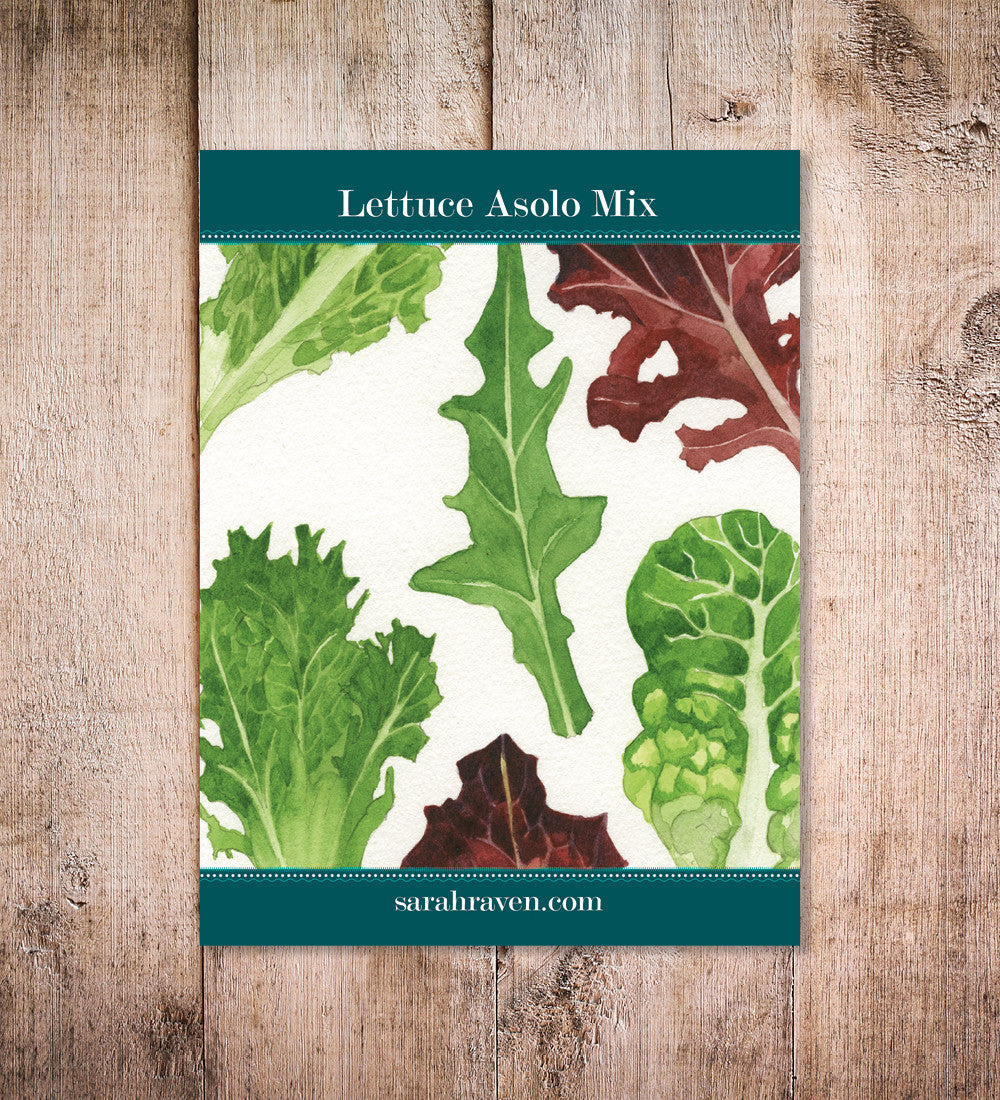 Sarah Raven Seeds Asolo Lettuce Mix Salatsamen 500 Samen
