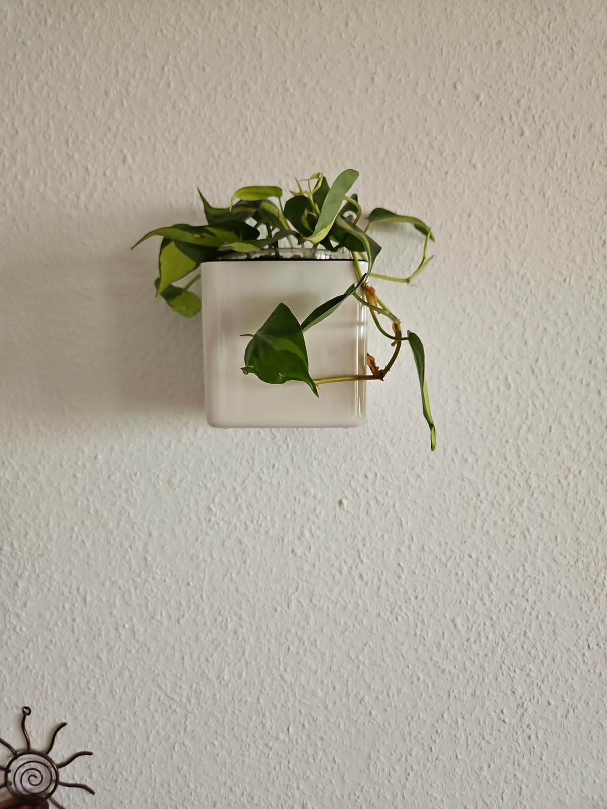 Lechuza Balconera Metallleiste schwarz 50 cm für Cube 14