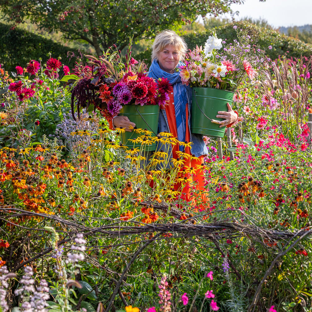 Sarah Raven Courses Kaleidoscope Garden Gartenkurs 15. Oktober