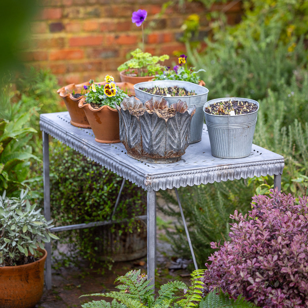 Sarah Raven Scalloped Metal Table Pflanztisch 100x50cm Zink