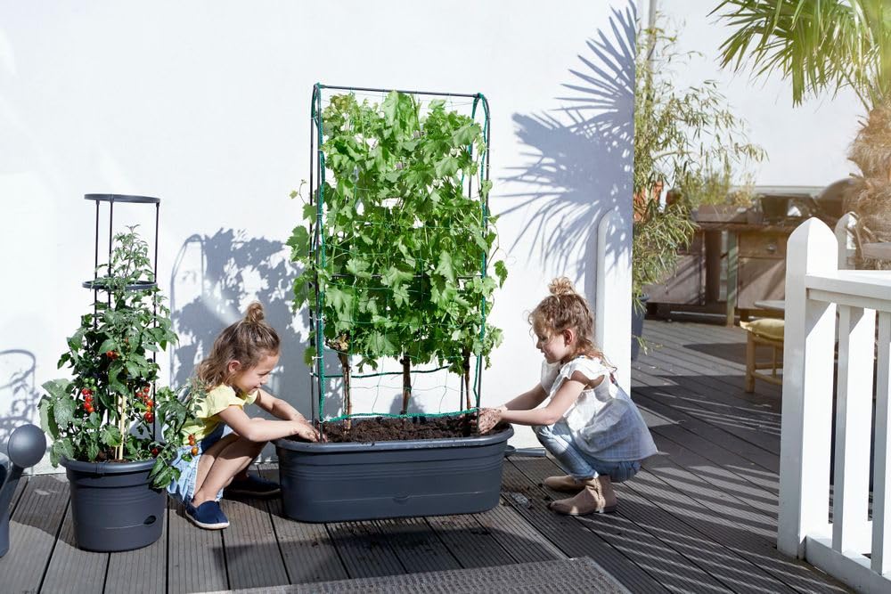 elho Green Basics Veggie Wall Pflanzkasten 80cm Living Schwarz