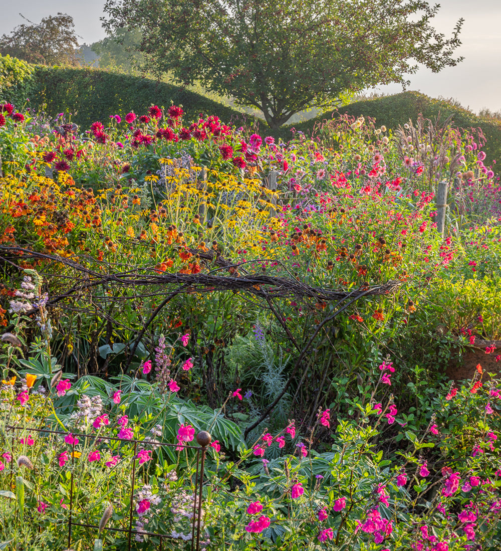 Sarah Raven Why I Garden Kurstag Perch Hill 22. September