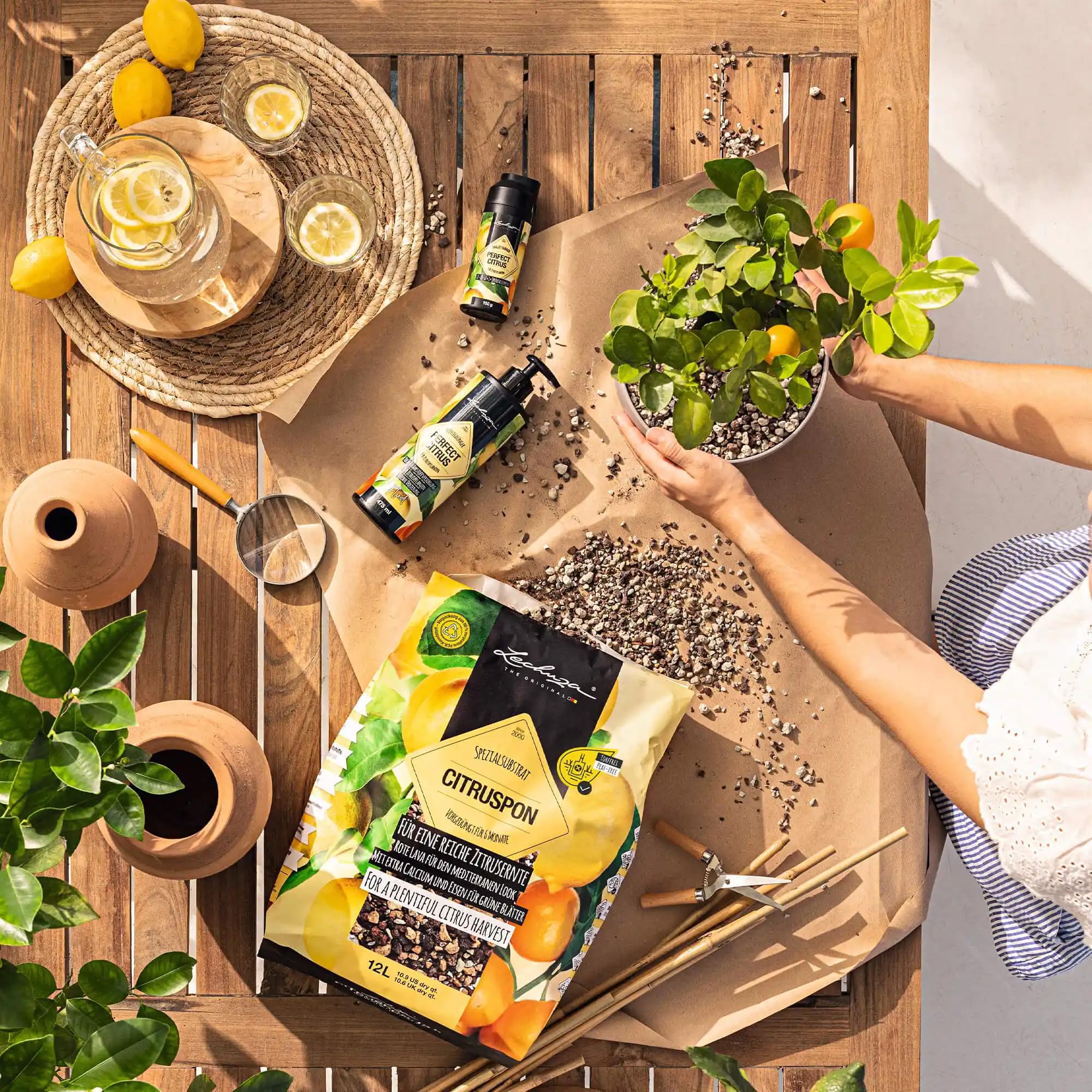 Lechuza Pon Citruspon Pflanzsubstrat 12L torffrei Zitruserde