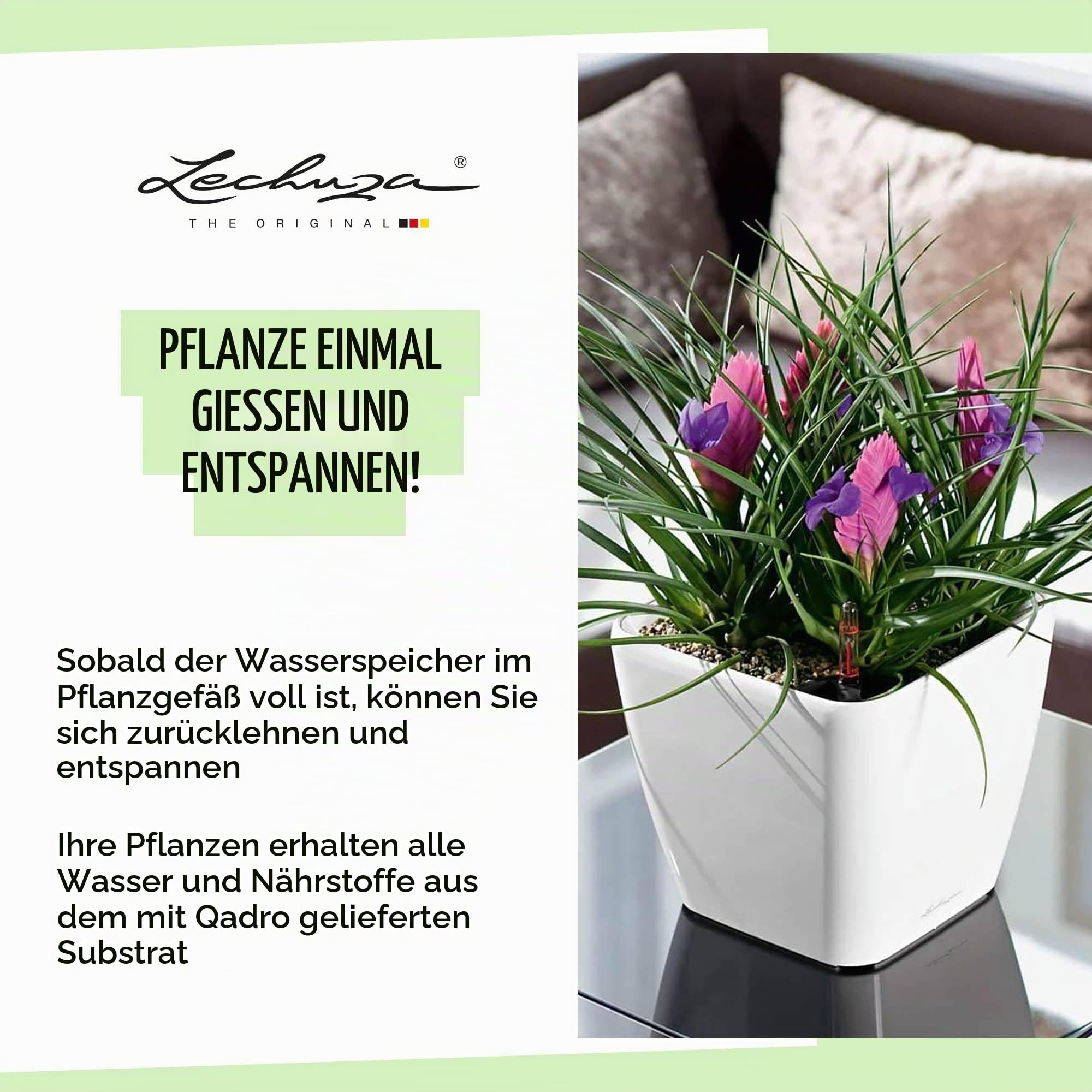 Lechuza Quadro Premium LS 50 Pflanztopf Taupe Hochglanz