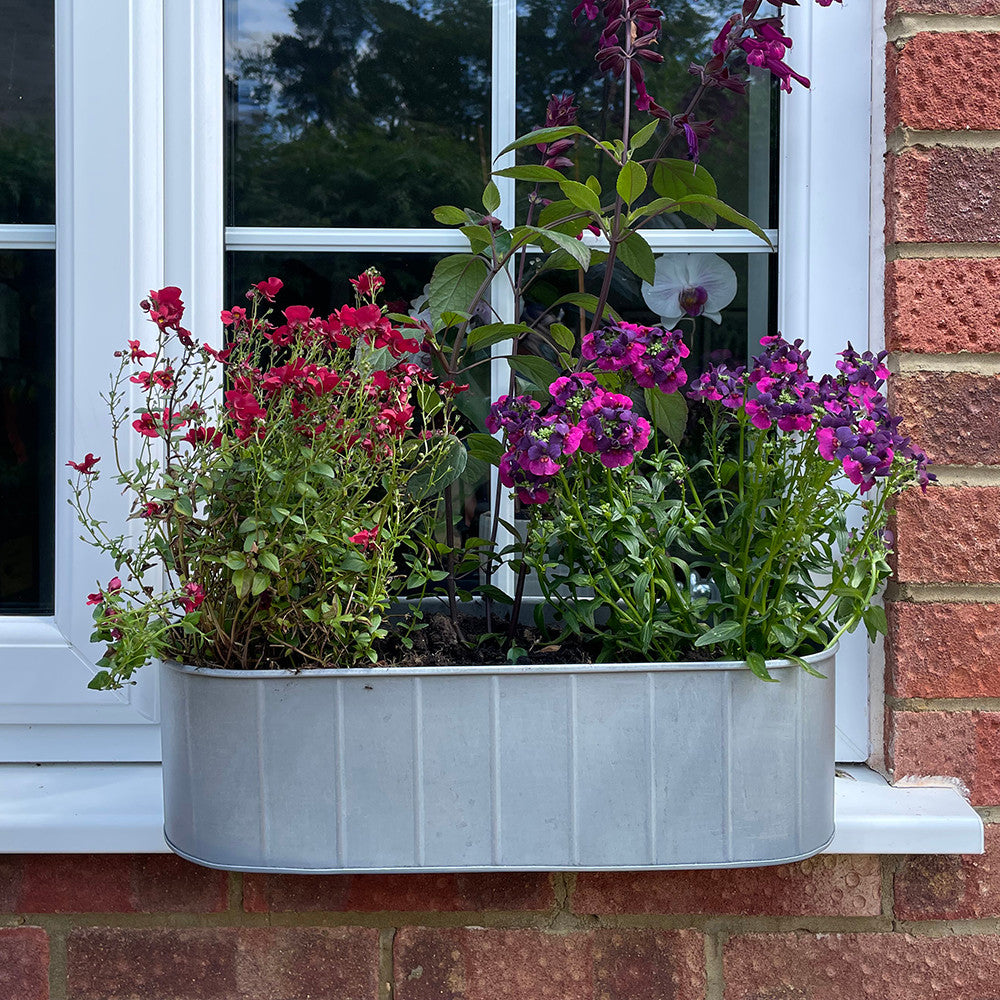 Sarah Raven Gardening Hoxton Fensterkasten Zink 3er Set
