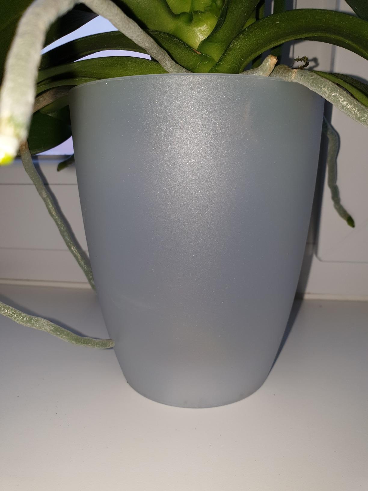 elho Brussels Orchidee Duo Blumentopf 25 cm transparent Doppel