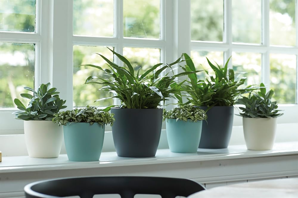 elho Brussels Blumentopf Rund 25 2er Set anthrazit 25cm