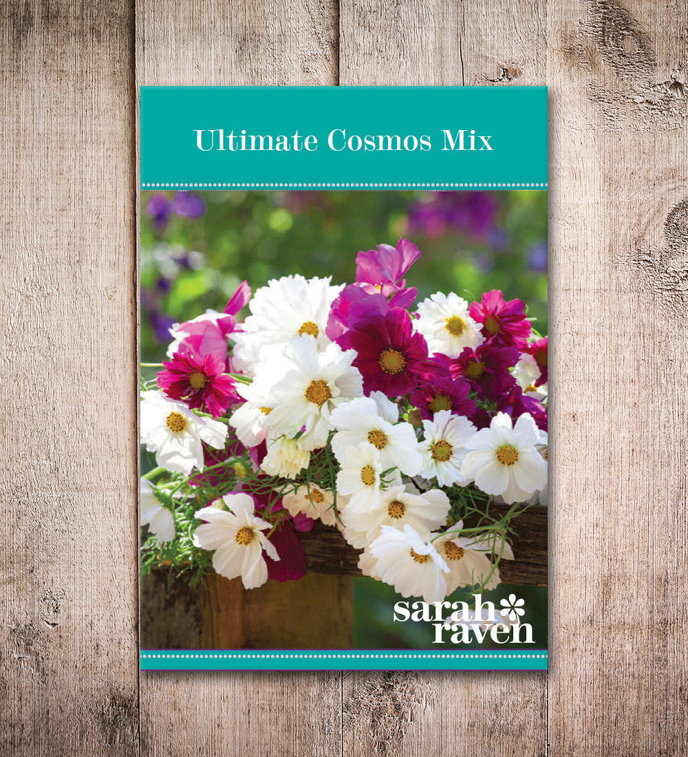 Sarah Raven Seeds Ultimate Cosmos Collection Blumensamen 100 Samen
