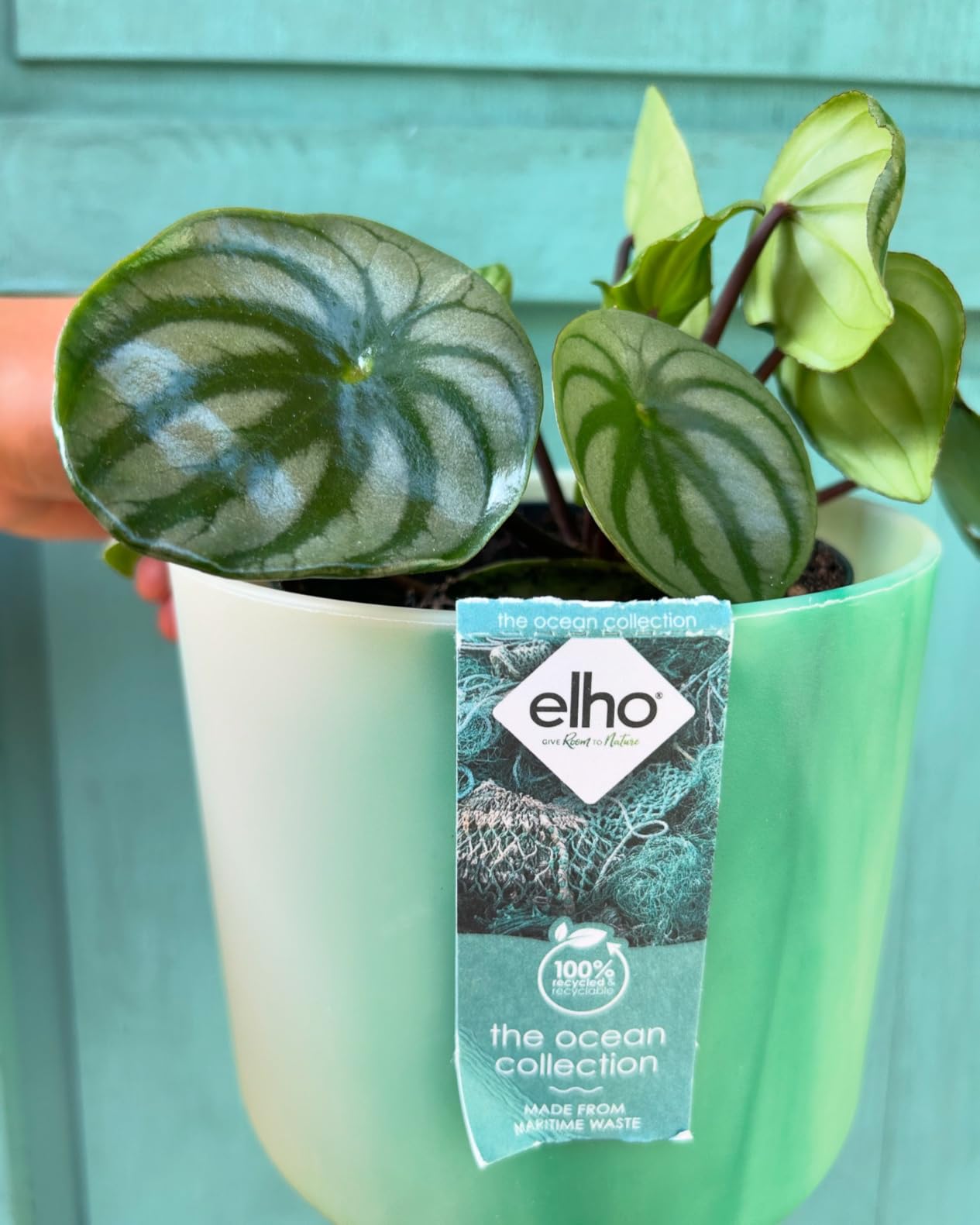 elho Ocean Collection Rund 22 Blumentopf Atlantikblau recycelt
