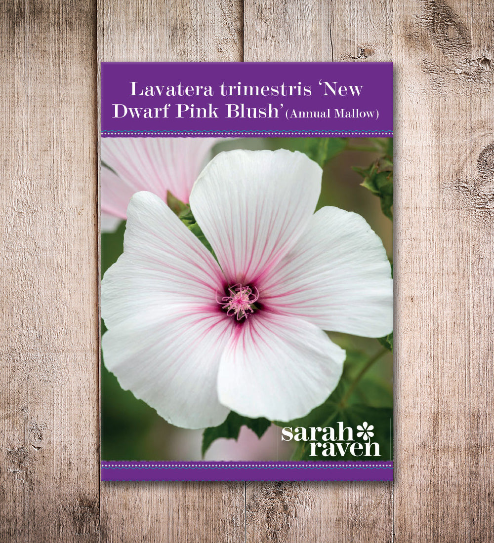 Sarah Raven Seeds Lavatera New Dwarf Pink Blush Samen 75 Samen rosa