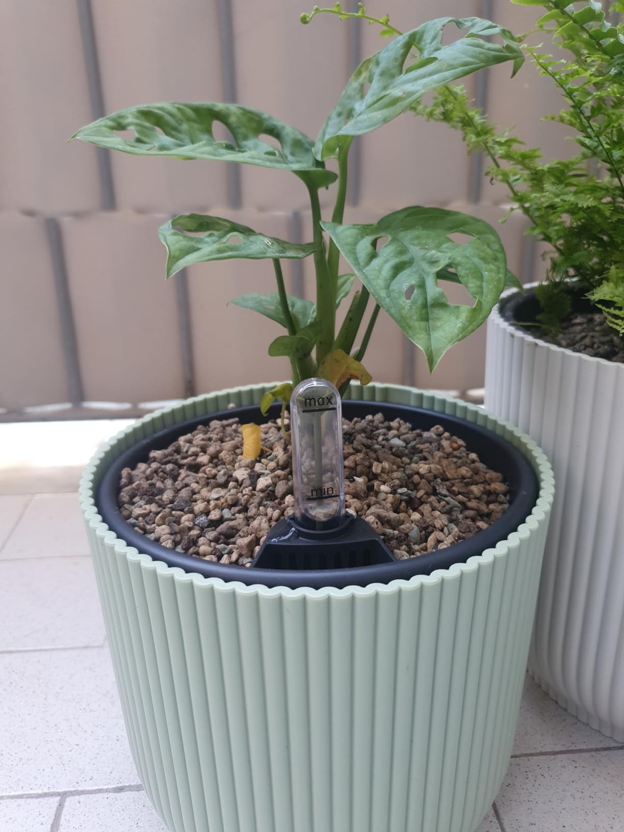 elho Bewässerungssystem 24 cm Living Schwarz Selbstbewässerung