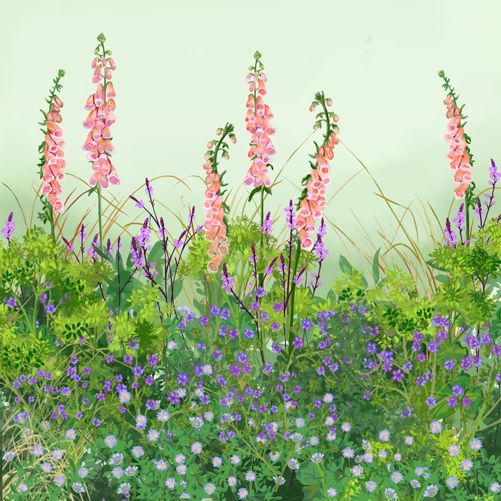 Sarah Raven Plants Naturalising Border Collection Stauden 18x 9cm selbst