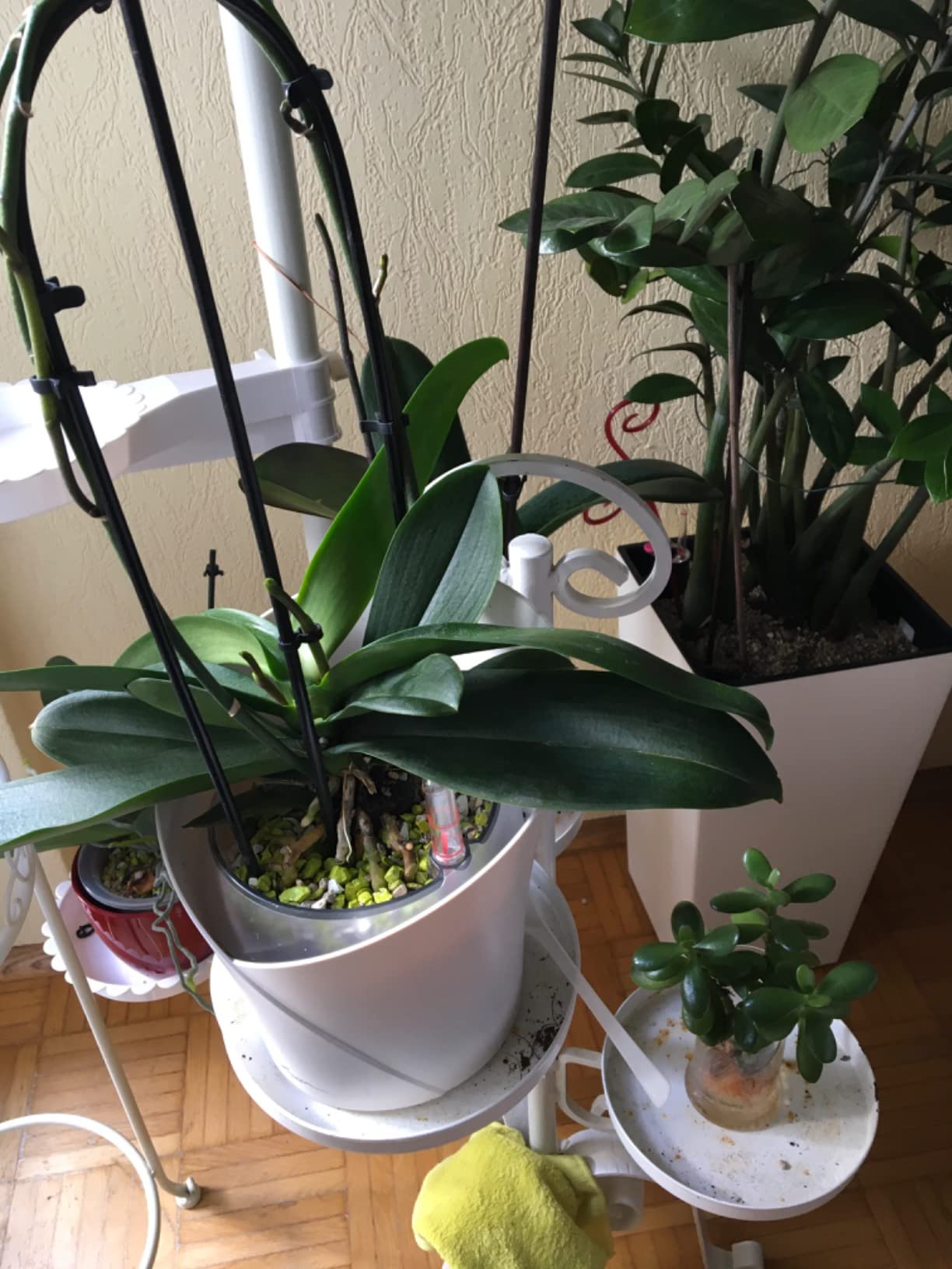 Lechuza Orchidea Color Orchideentopf Weiß Ø18cm Dochtsystem
