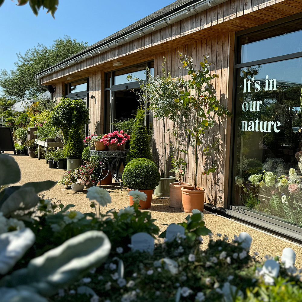 Sarah Raven Courses Kaleidoscope Garden Gartenkurs 15. Oktober