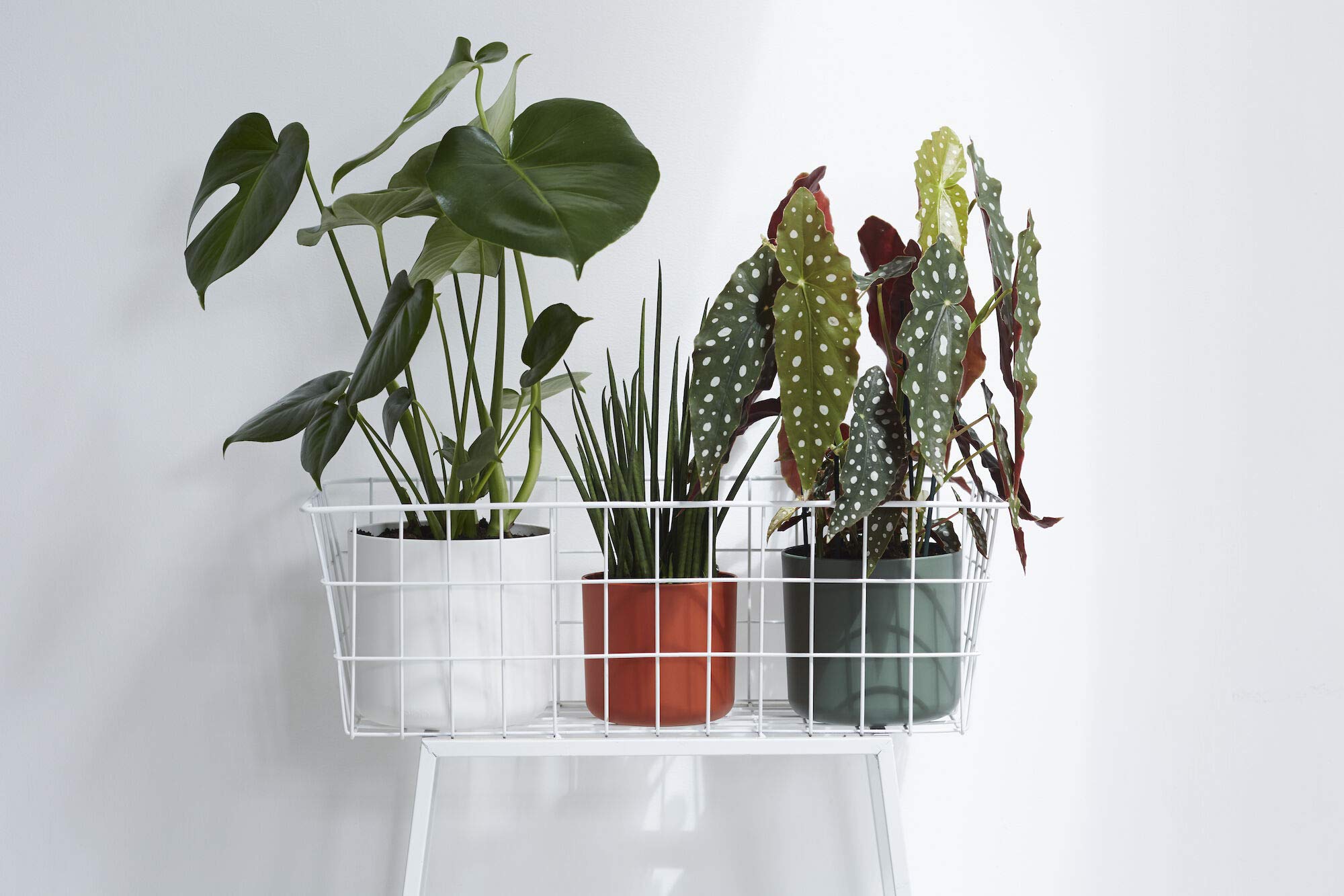 elho B.for Soft Air Blumentopf 18 Hängetopf Brique wasserdicht