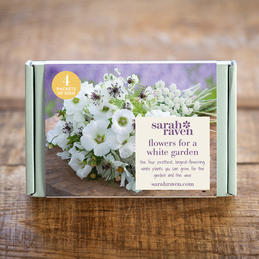 Sarah Raven Seeds White Garden Blumensamen Geschenkbox 4 Tüten weiß