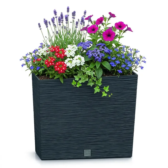 Prosperplast Boardee Blumenkasten Anthrazit 58 cm mit Einsatz