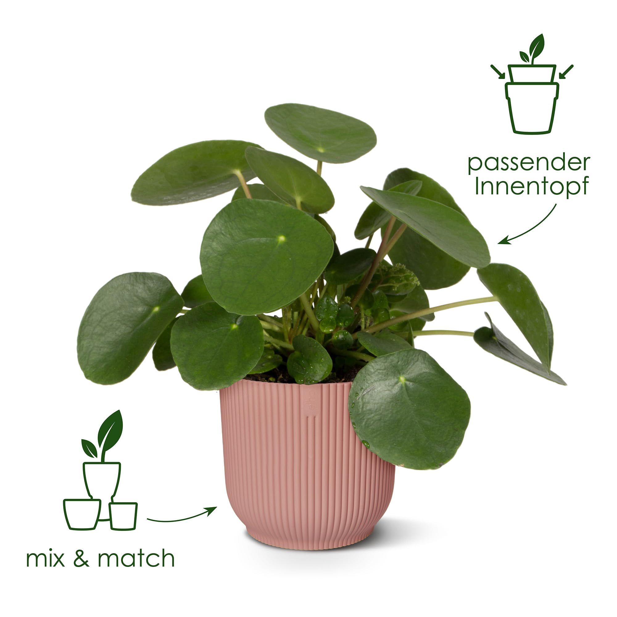 elho Vibes Fold Rund 22 Blumentopf zartrosa mit Bewässerung