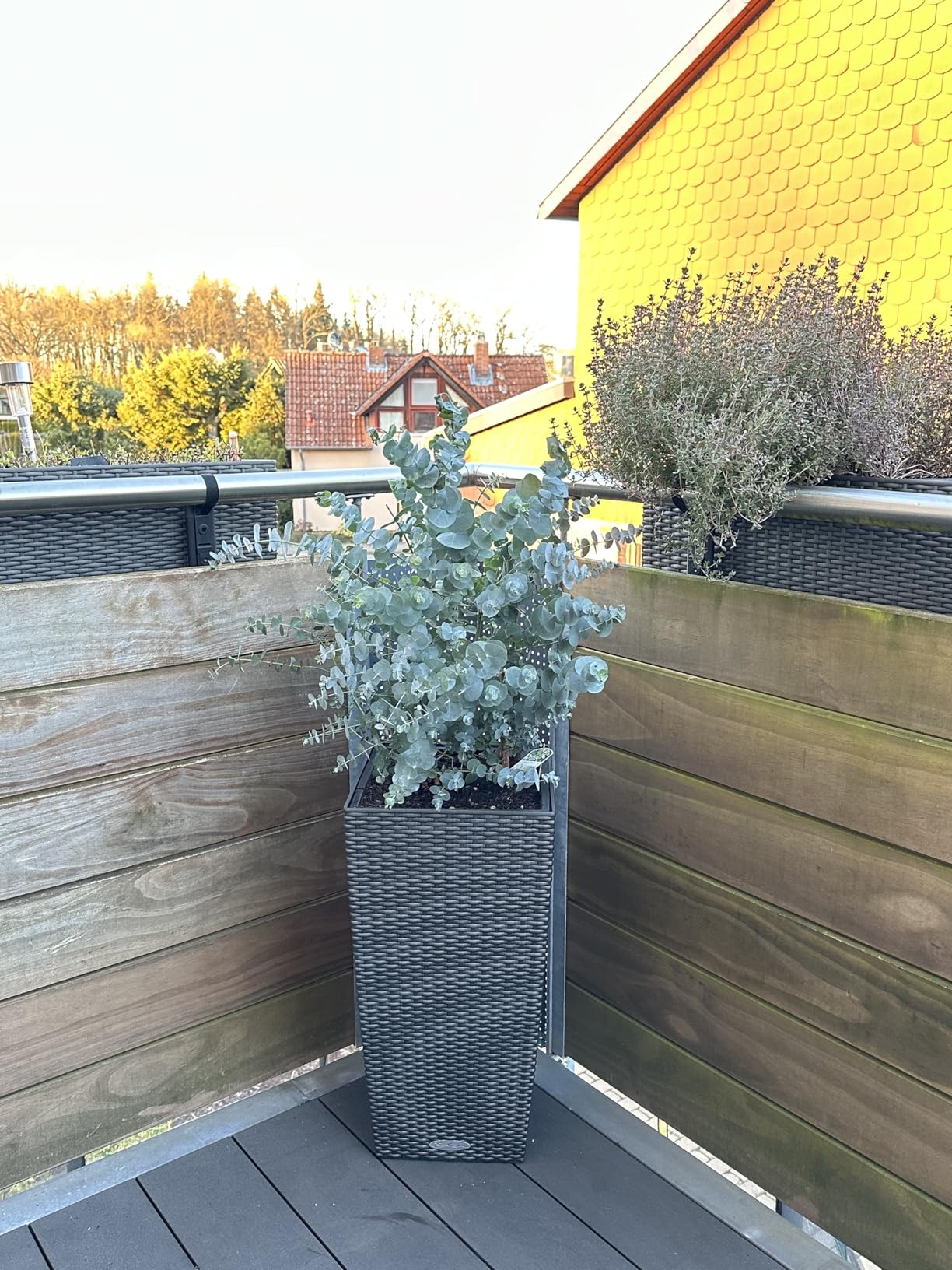 Lechuza CUBICO Cottage 40 Pflanzgefäß Granit Rattan
