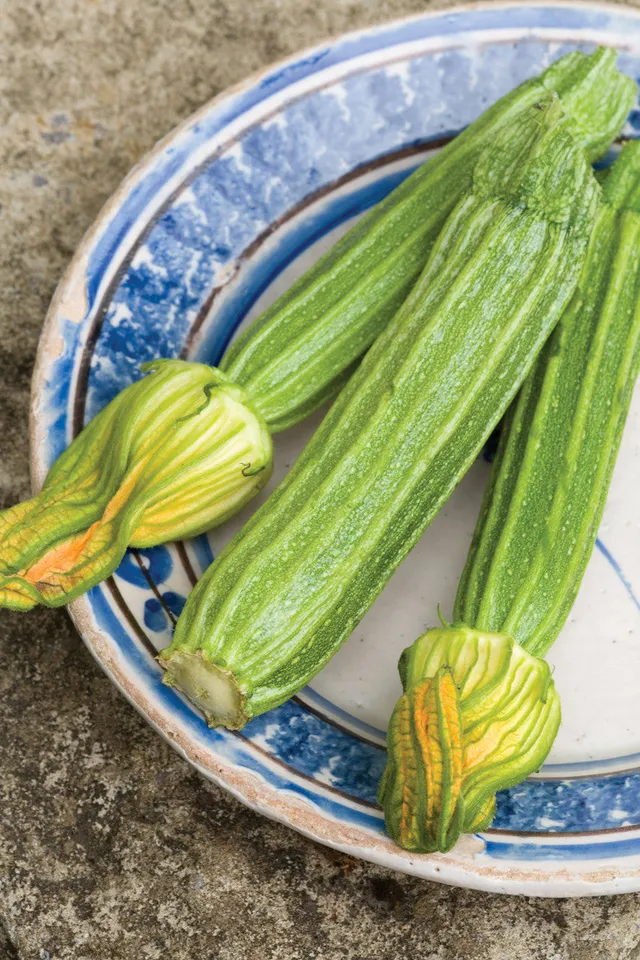 Sarah Raven Courgette Romanesco Samen 20 Stück gerippt