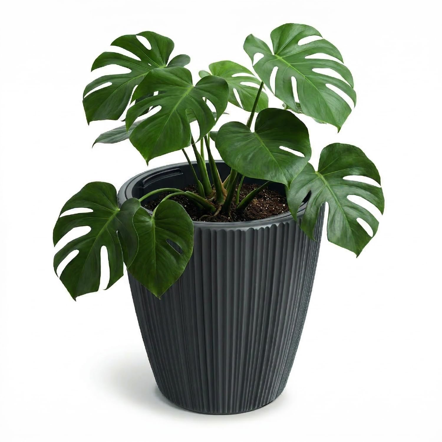 Prosperplast Tubus Oro Pflanztopf Dunkelgrau 23,9 x 24 cm