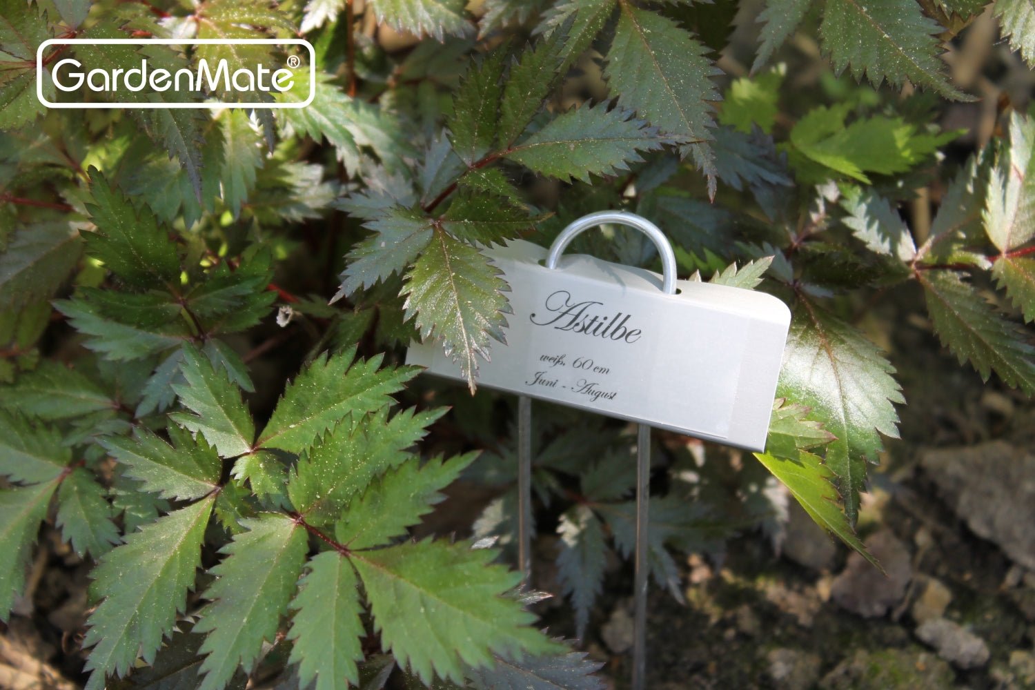 GardenMate Drucketiketten transparent 90 Stk. für Poster wetterfest