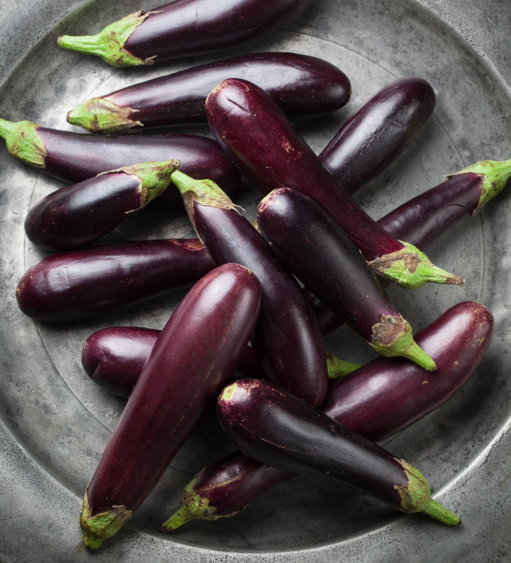 Sarah Raven Seeds Aubergine Slim Jim Auberginensamen 50 Samen lang