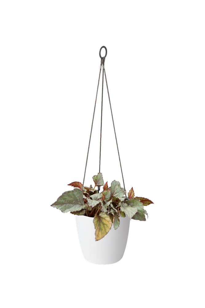 elho Brussels Hängeampel 18 Blumentopf weiss wasserdicht