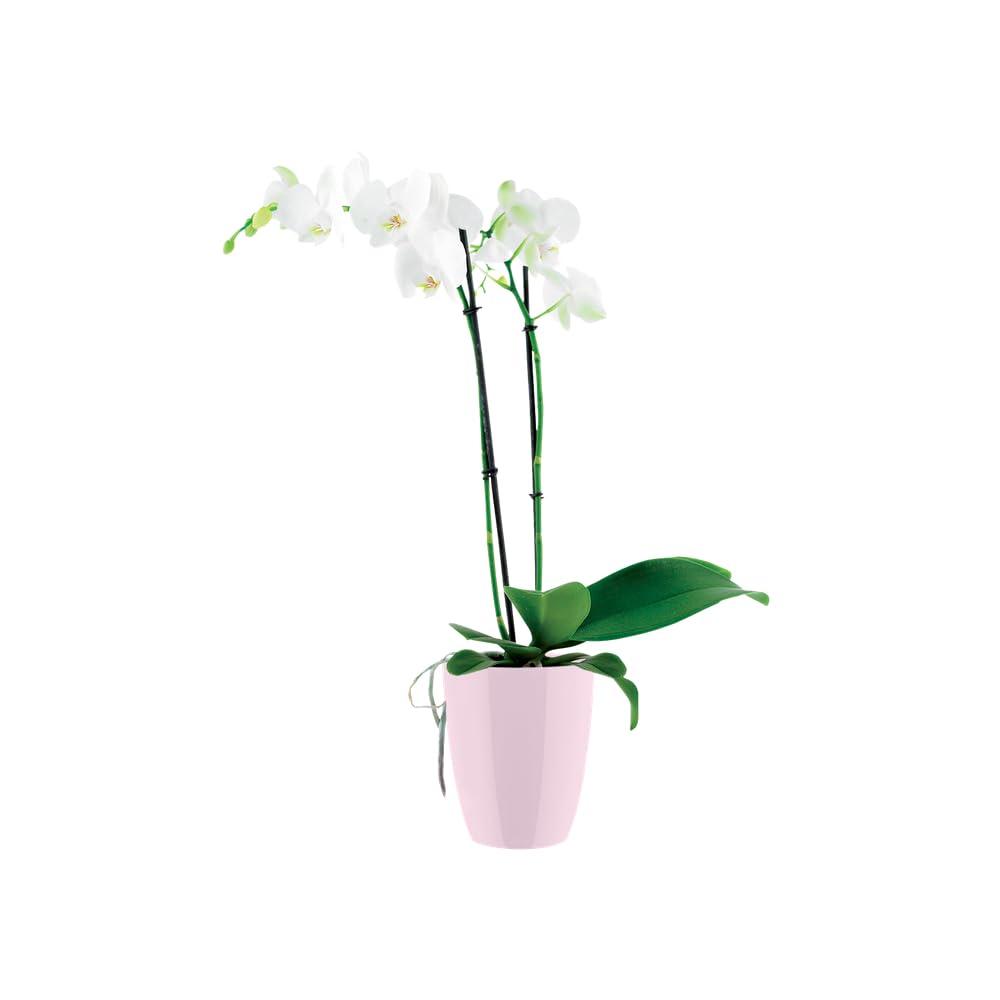 elho Brussels Diamond Orchideentopf 10,5 cm rosa Belüftung