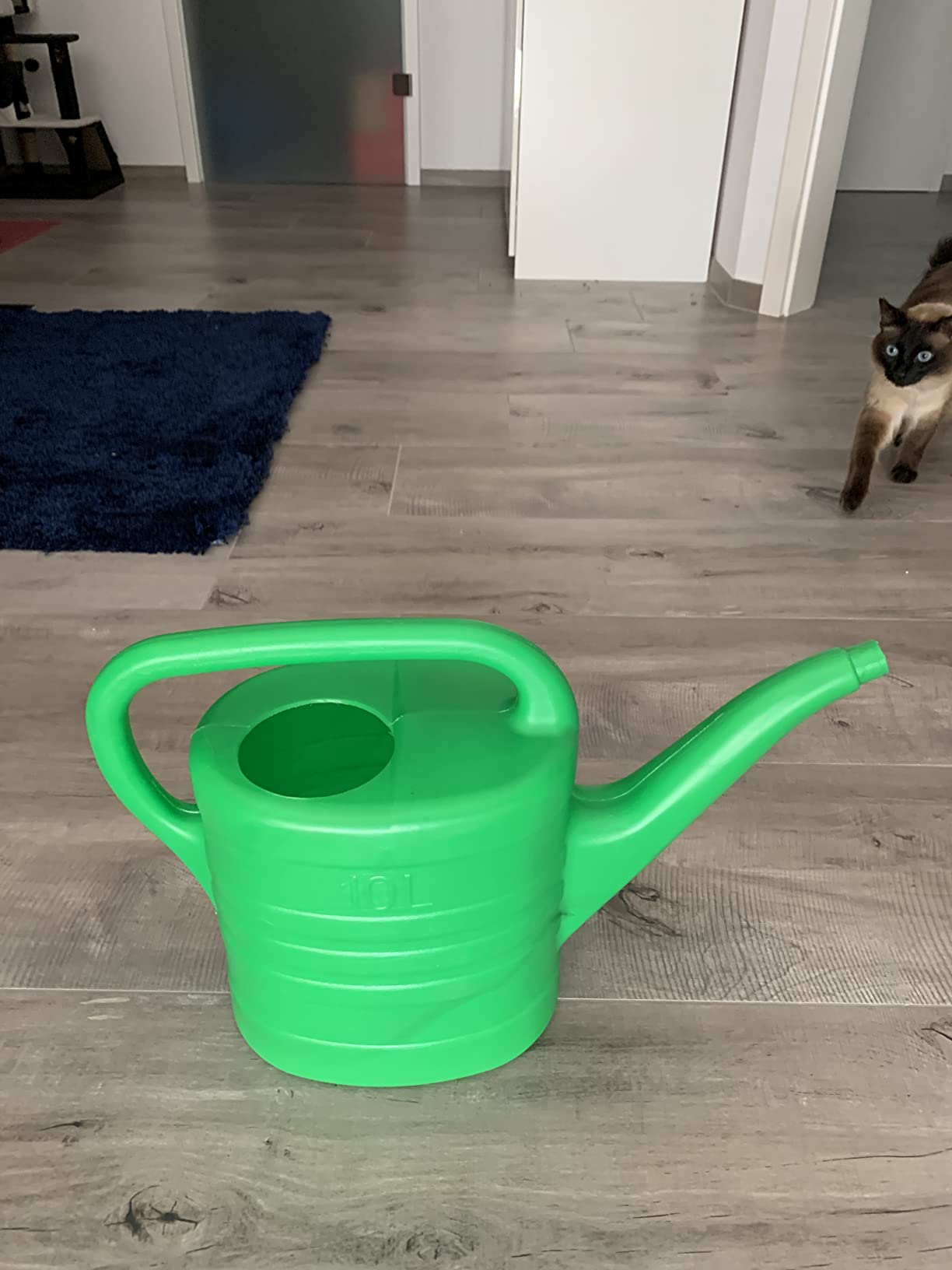 Prosperplast Classico Gießkanne 10 Liter grün 2er Set mit Brause