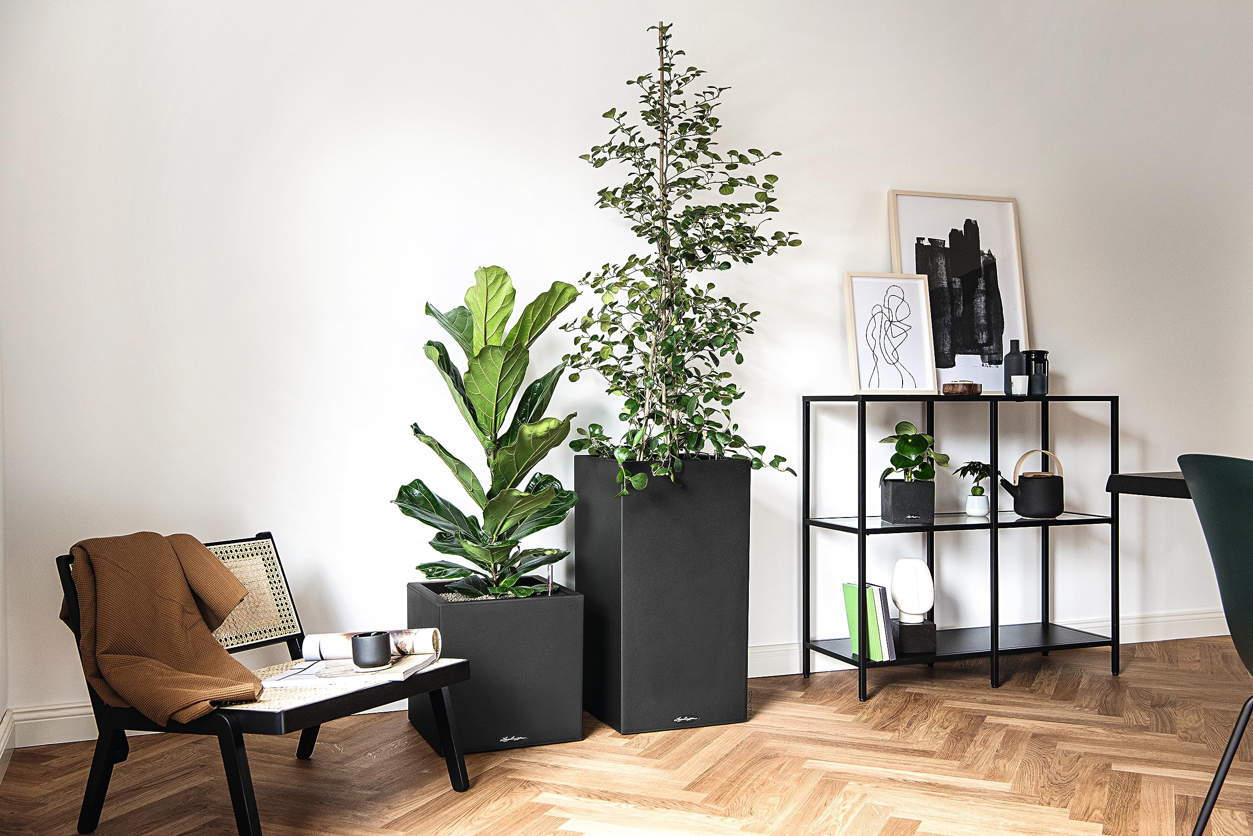 Lechuza Canto Stone 30 Low Pflanztopf Graphitschwarz Steinoptik