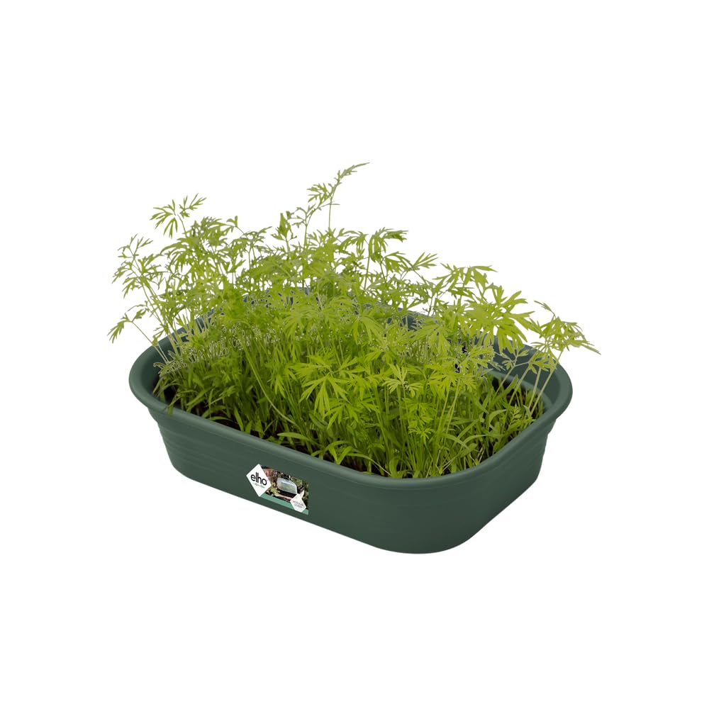elho Green Basics Anzuchtschale S 24cm Leaf Green Ablauf