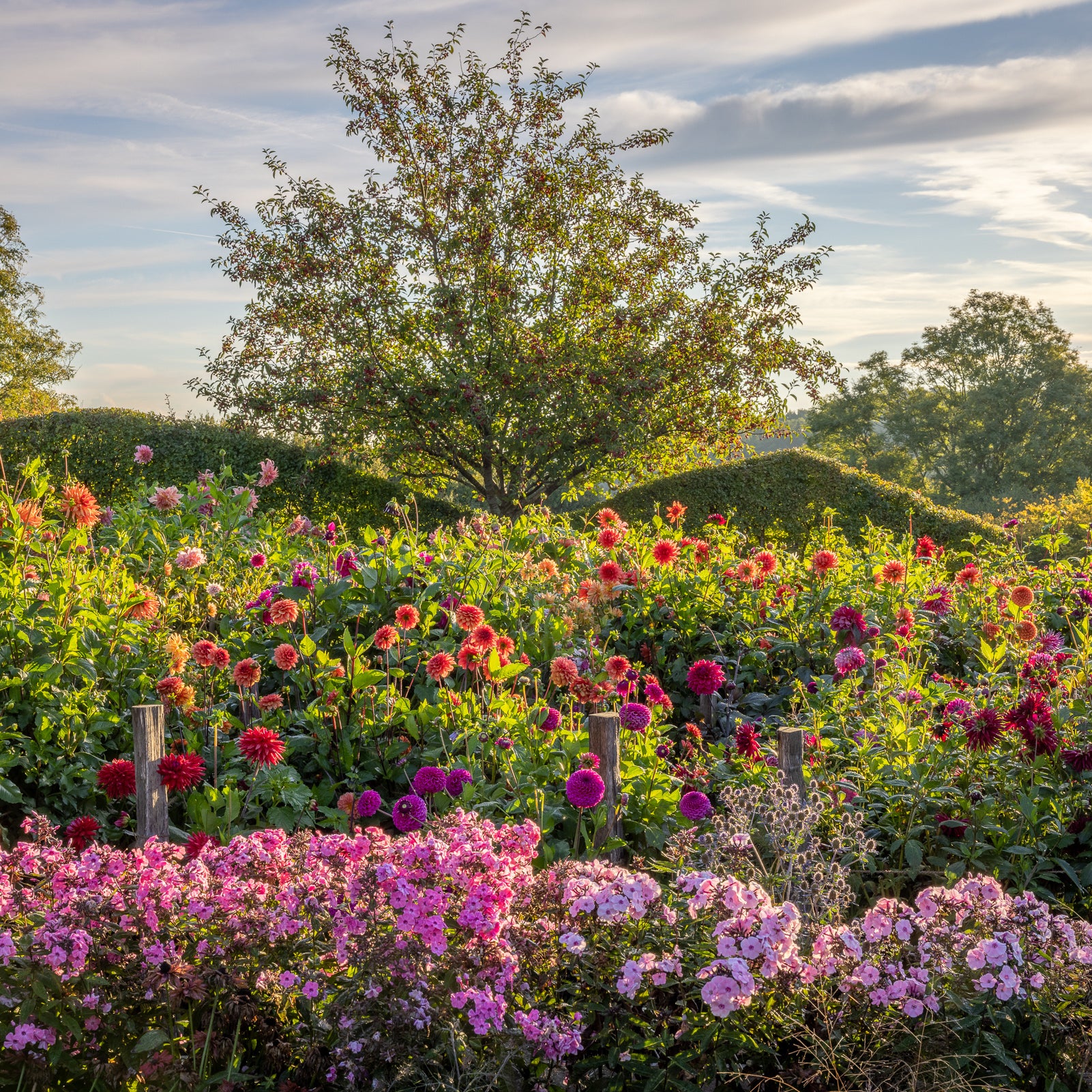 Sarah Raven Courses Kaleidoscope Garden Kurs 25. September Perch Hill
