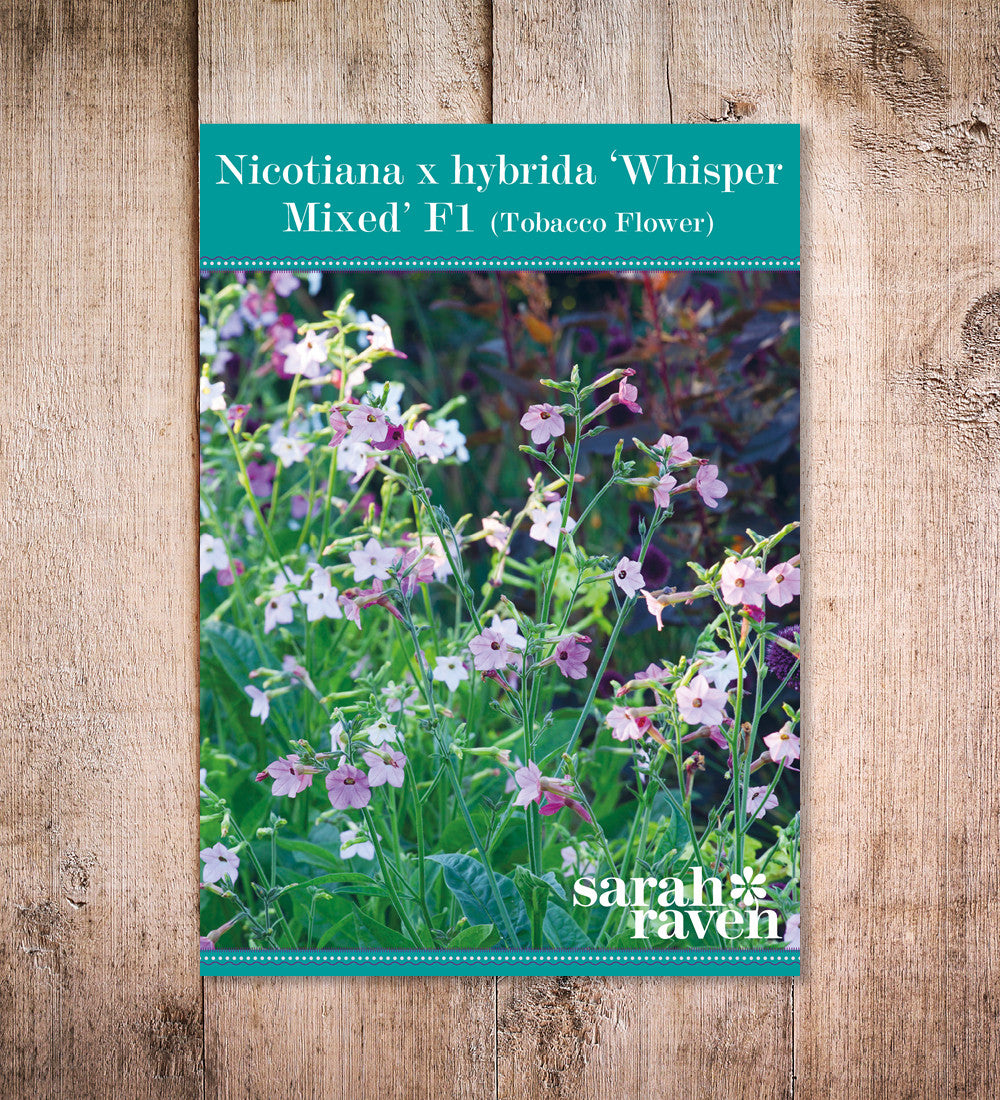 Sarah Raven Seeds Nicotiana Whisper Mixed F1 Blumensamen 20 Samen