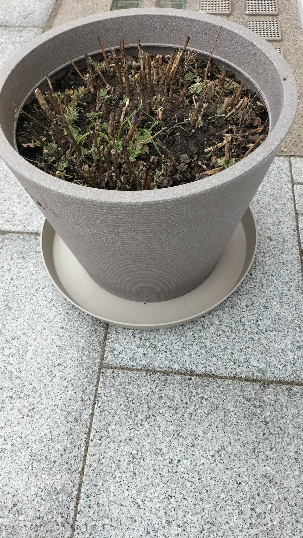 elho Loft Untersetzer Rund 14 cm Weiss Kunststoff