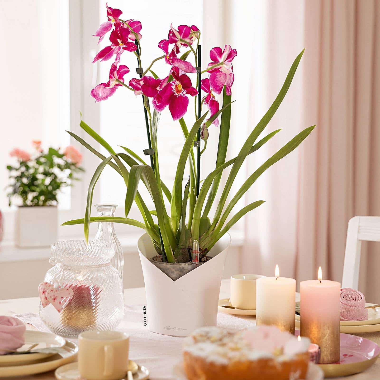 Lechuza Orchidea Color Orchideentopf Weiß Ø18cm Dochtsystem
