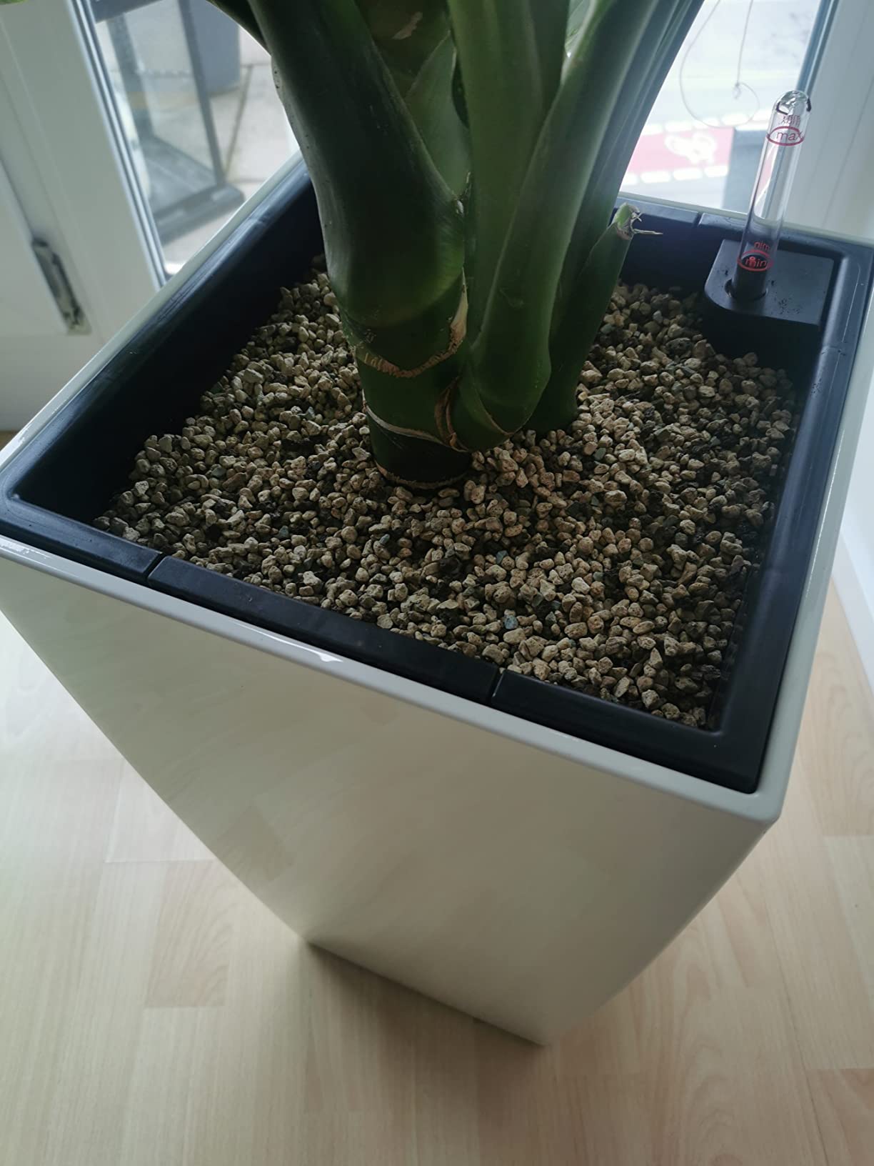 Lechuza CUBICO Premium 50 Pflanzgefäß Scarlerot Hochglanz