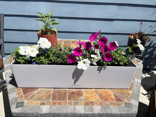 Lechuza Balconera Stone 80 Balkonkasten Graphitschwarz 80cm