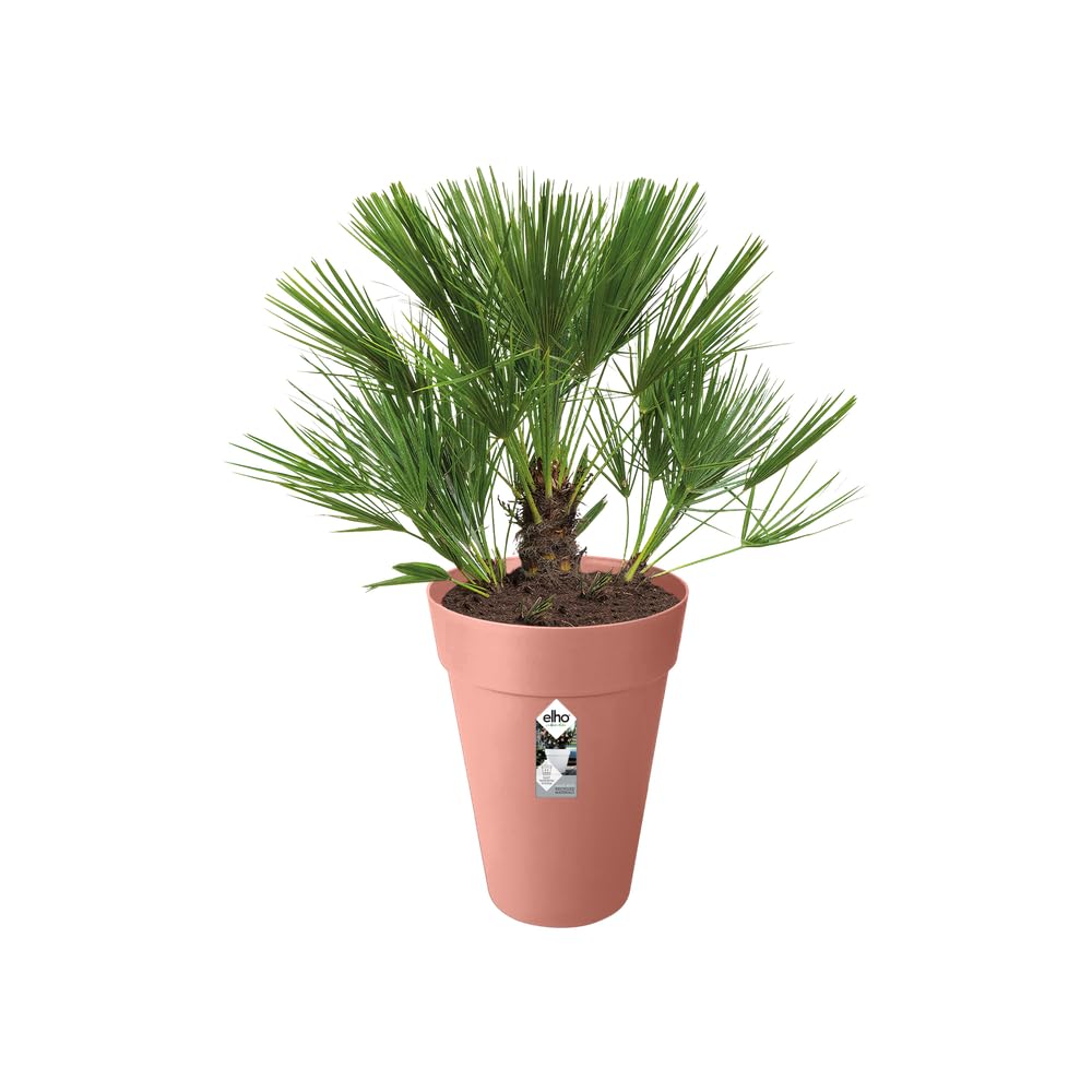 elho Loft Urban Rund Hoch 28 Blumentopf Zartrosa