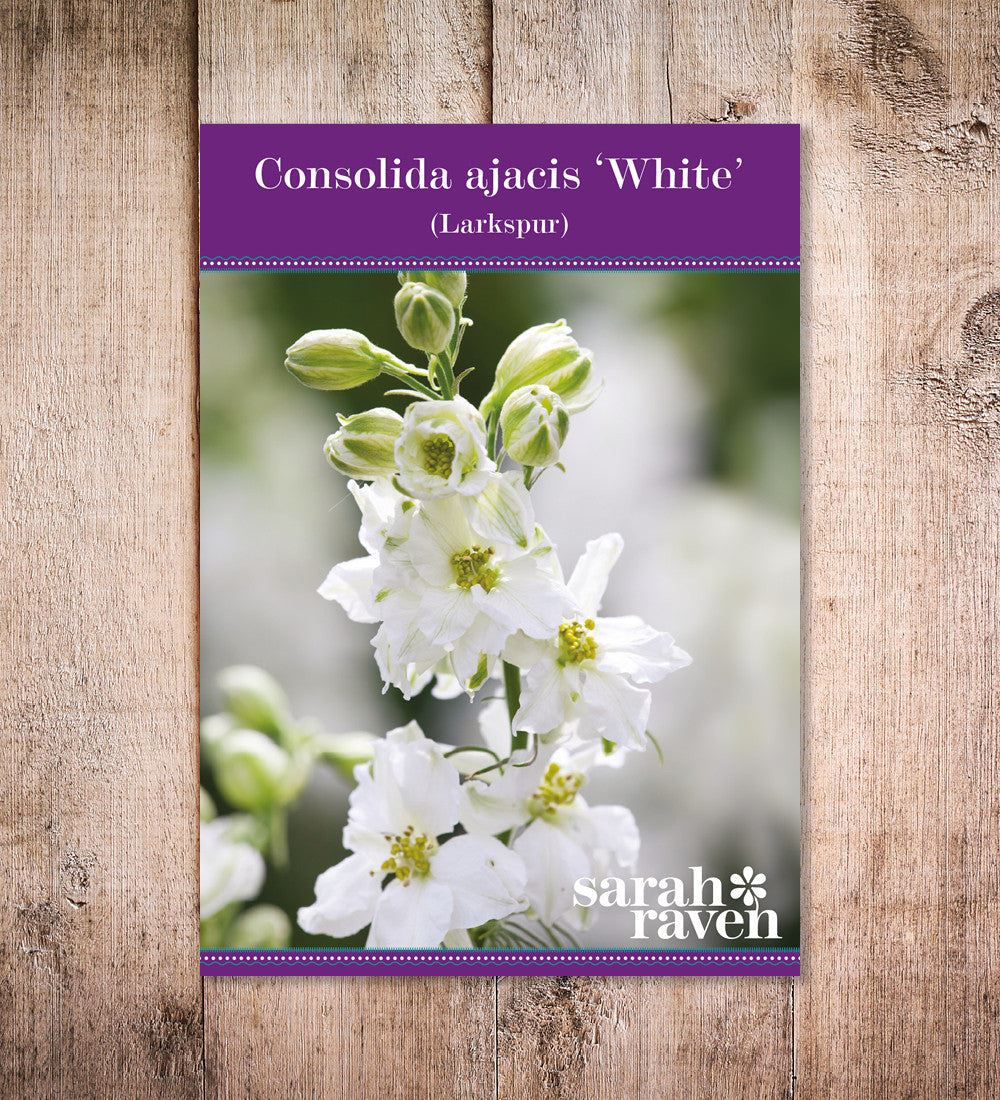 Sarah Raven Seeds Consolida White Samen 400 weiß hoch