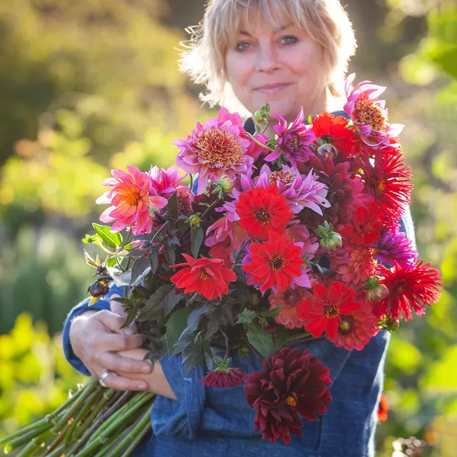 Sarah Raven Sarah's Best for Borders Dahlienknollen 6 Knollen essbar