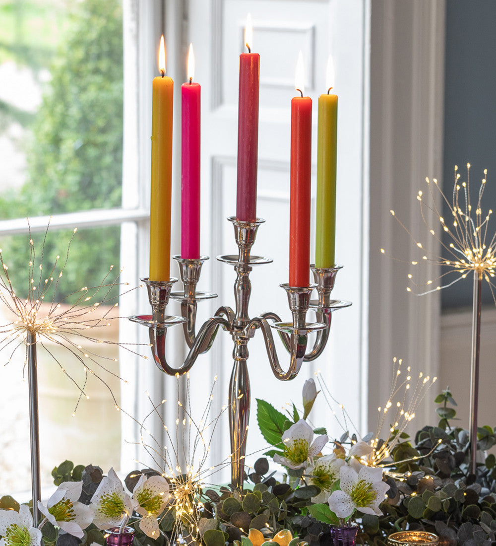 Sarah Raven Gardening Party Dinner Candle Stabkerzen 29cm 6 Stück