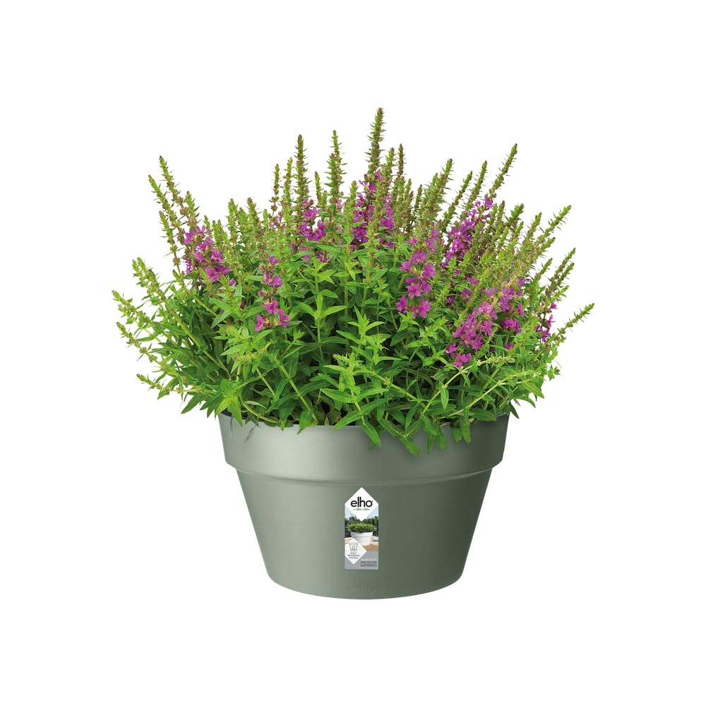 Elho Loft Urban Schale 35 Pflanzschale Pistazien Grün Ø35cm