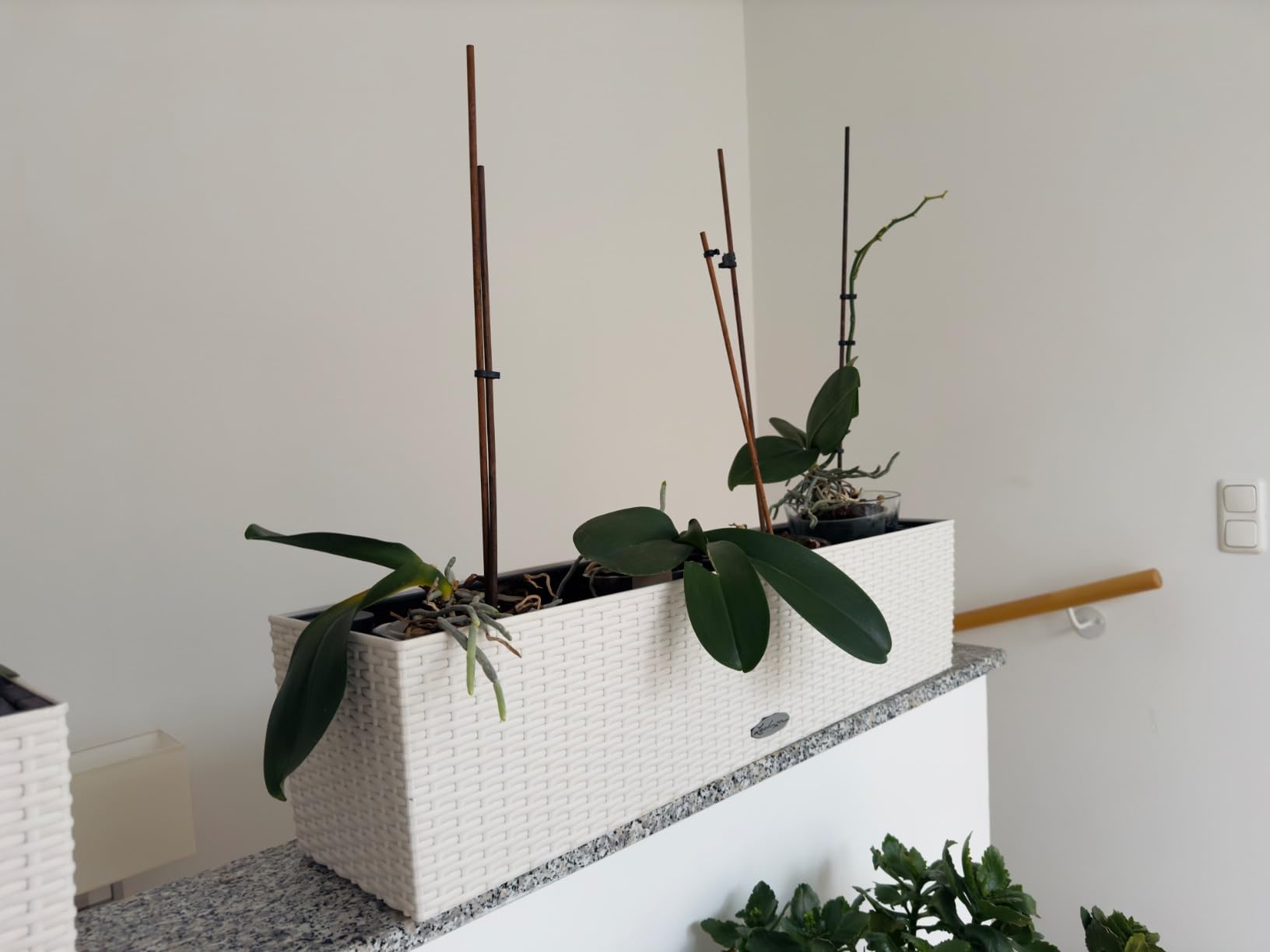 Lechuza Balconera Cottage 50 Pflanzgefäß Granit Bewässerung