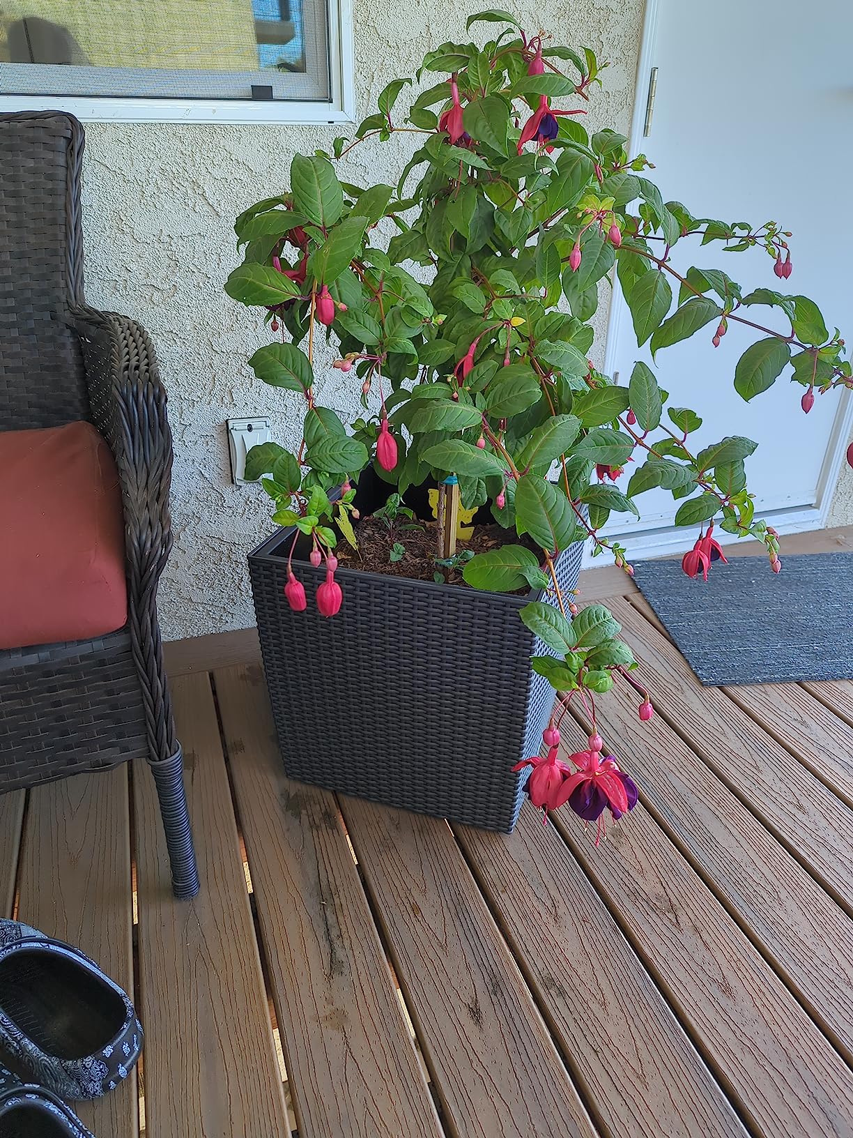 Lechuza Cube Cottage 50 Pflanzgefäß Granit Flechtoptik